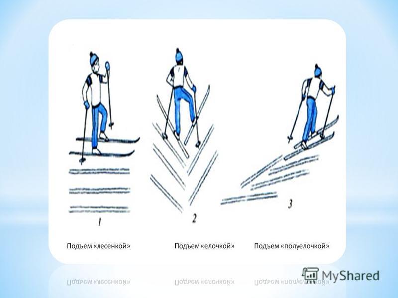 Определите вид подъема изображенного на рисунке подъем елочкой