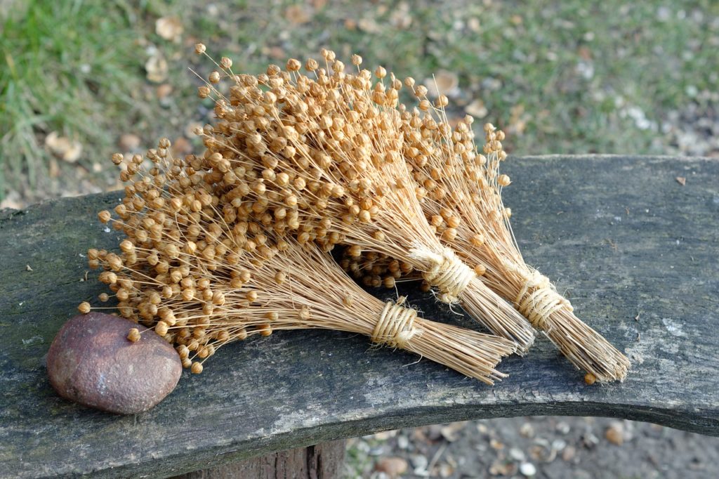 harvested flax