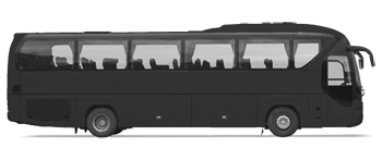 Аренда Автобуса для перевозки детей и школьников в Санкт-Петербурге, 50-60 мест