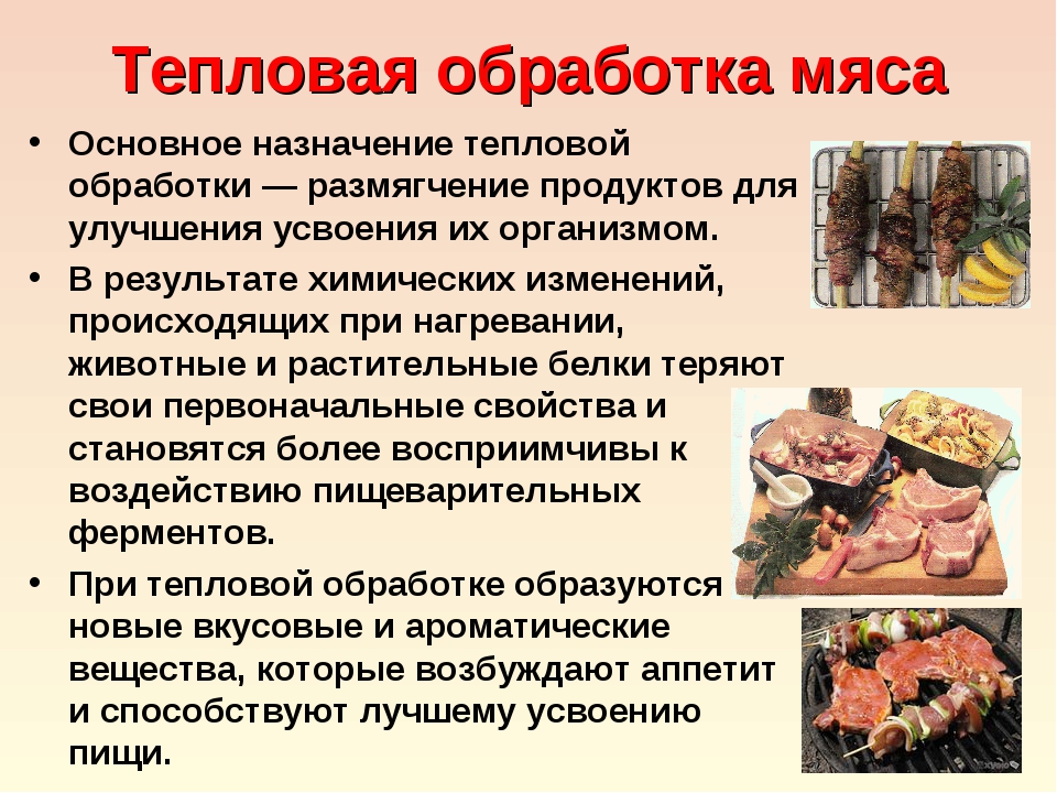 Проект мясо и мясные продукты по технологии