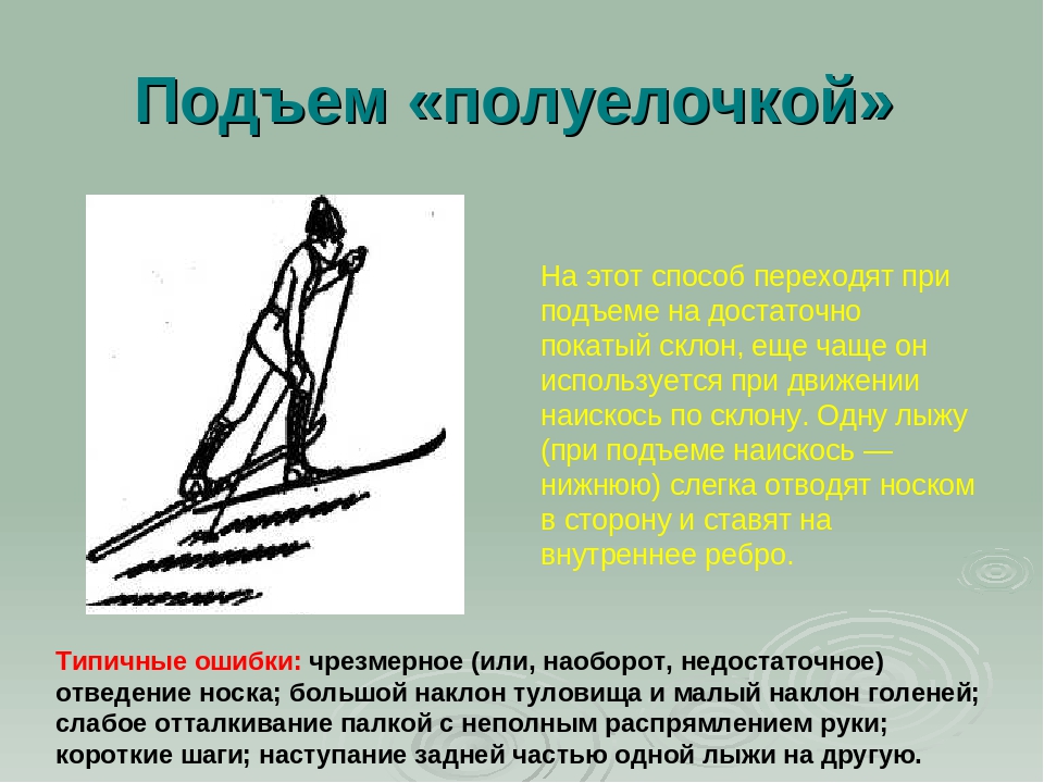 Основные способы подъемов на лыжах. Подъем полуелочкой на лыжах техника. Описание подъема полуелочкой.