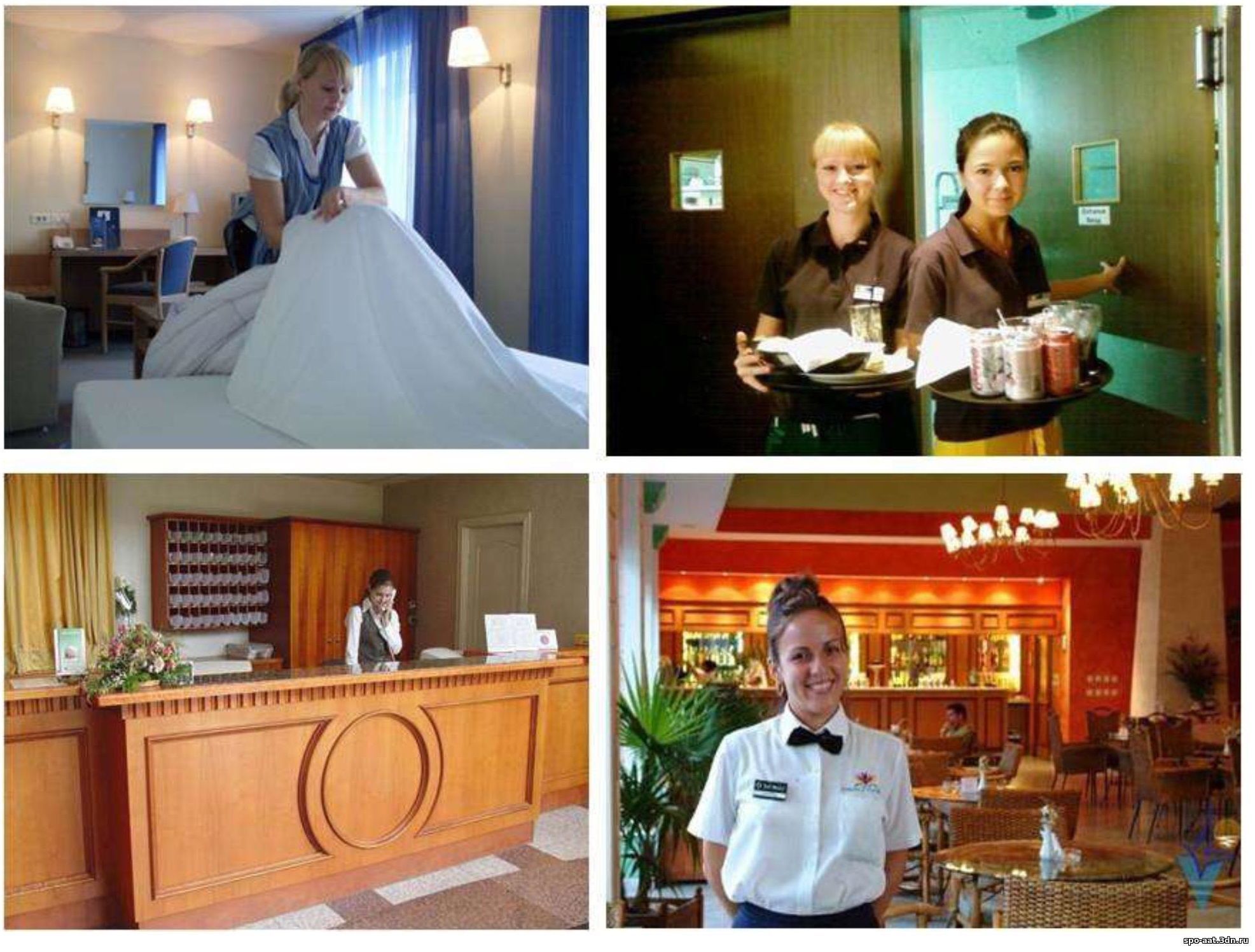услуги гостиницы