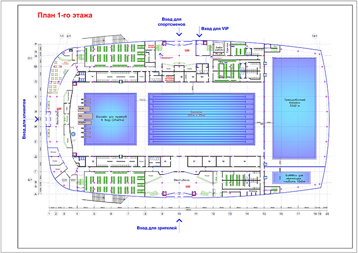 План здания бассейна