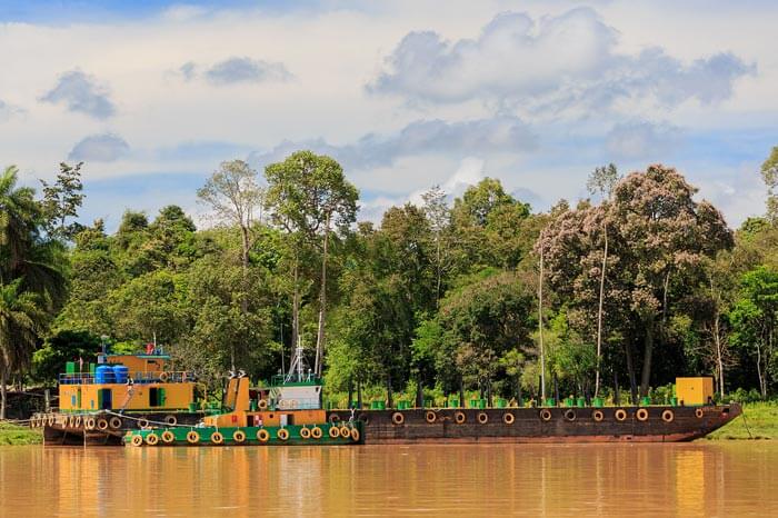Kinabatangan is an only rainforest among the top tourist places in Malaysia 